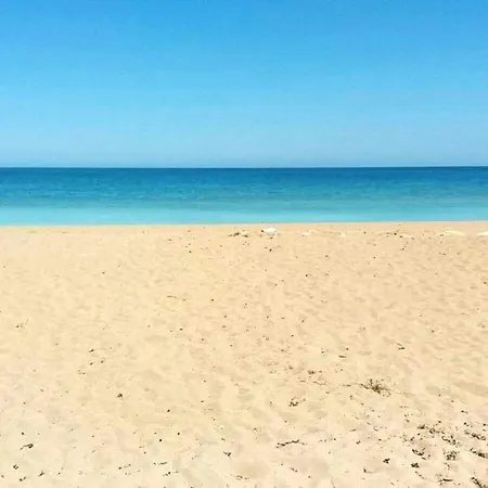 House With 3 Bedrooms In With Shared Pool Furnished Garden And Wifi 100 M From The Beach 펜션 데니아